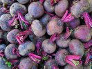 Beet root