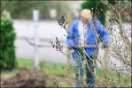 bourgeons de janvier au jardin