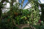 Serre du Jardin des Plantes de Rouen